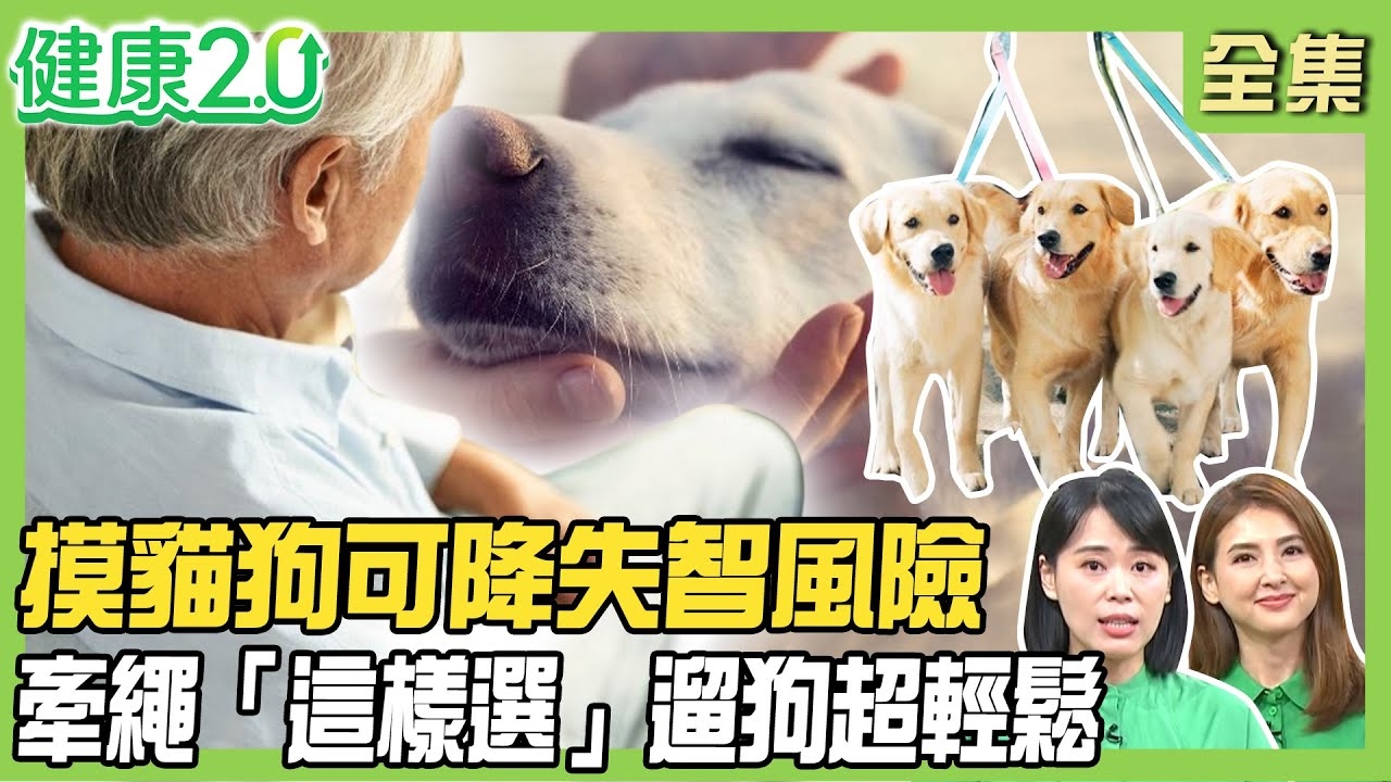 養狗罹患失智症風險降4成 毛孩自帶神奇療癒力 帶狗游泳全攻略! 注意中暑.失溫.不要喝生水 