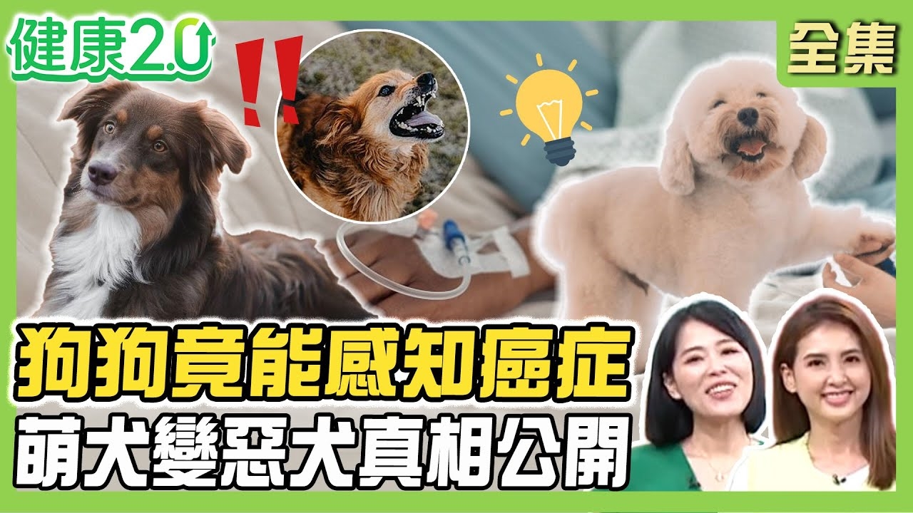 狗狗具有強大的感知能力，能夠預知主人的情緒和健康問題