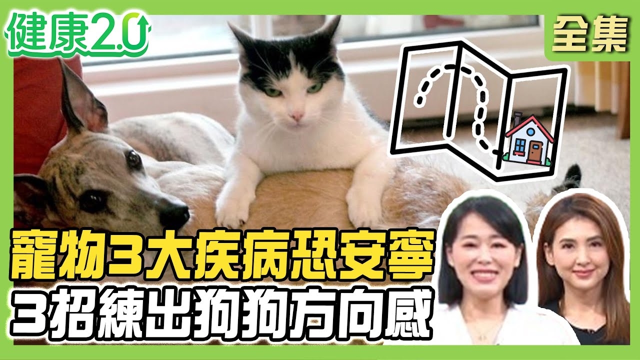 杜詩梅愛犬生命交關 靠寵物溝通師求解答!3大貓狗疾病恐建議安寧!第1次就上手 和陌生狗狗拉近距離密技