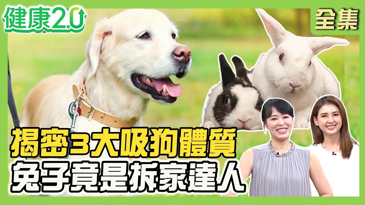 狗挑主人?出國遇狗跟追百里!潘映竹狗狗拴不住 愛跑鄰居家做一事!天生3大吸狗體質 狗狗異食癖超崩潰!