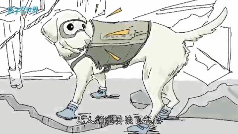孩子看世界-墨西哥搜救犬