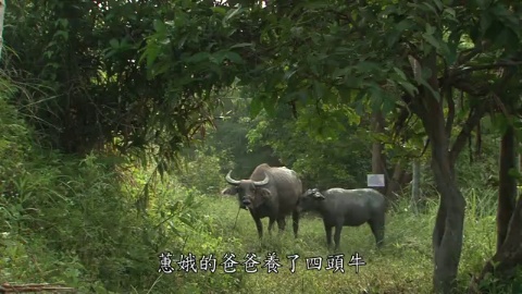 簡單的幸福