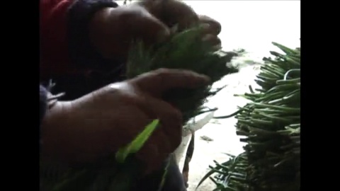 雅加達水患