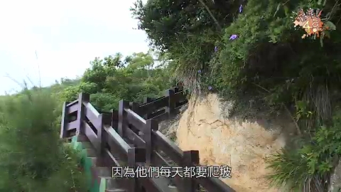 第三季S3.EP07:戰場體驗,誰能生存下來呢