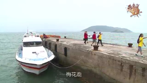 第三季S3.EP09:挑戰自我極限恐懼!!