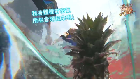 進入六強的有.....