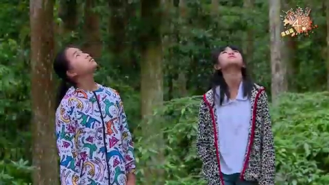 與森林共舞