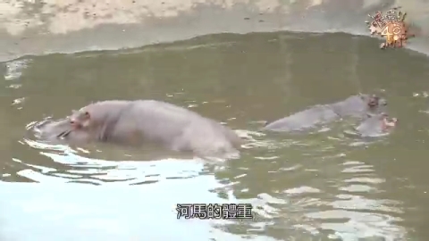 第5季EP05:挑戰動物保育員