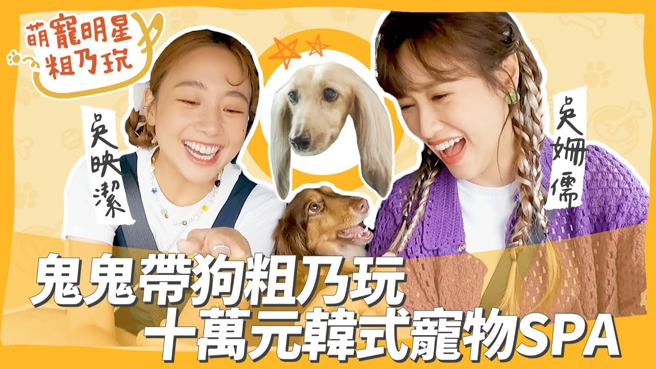 Sandy 鬼鬼 粗乃玩啦!10萬元韓式頂級寵物SPA 呵喜 GAGA 閃亮登場
