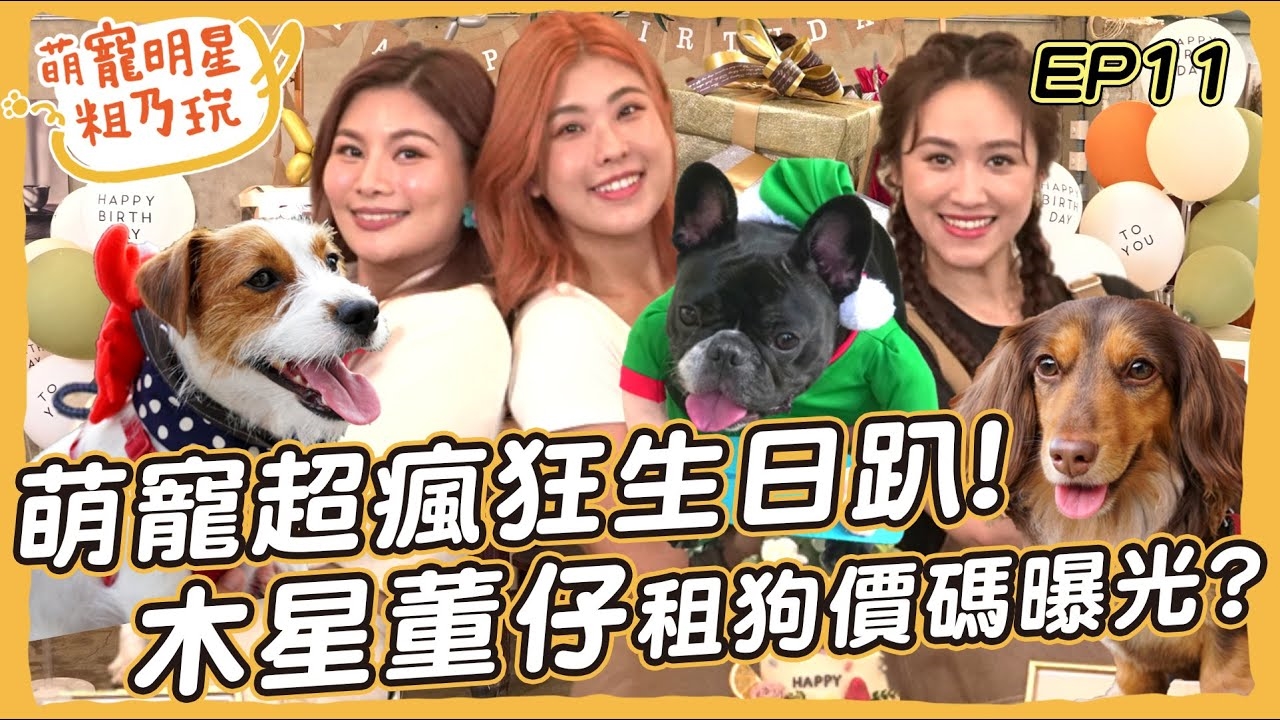 萌寵瘋狂生日趴 木星 董仔 Sandy 精心布置DIY!壽星 呵喜 摳比為禮物大打出手