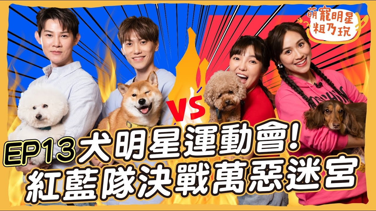 犬明星運動會 決戰萬惡迷宮! 夏和熙 邱宇辰 何美 Sandy 主人好崩潰!紅隊 籃隊 誰是最終贏家