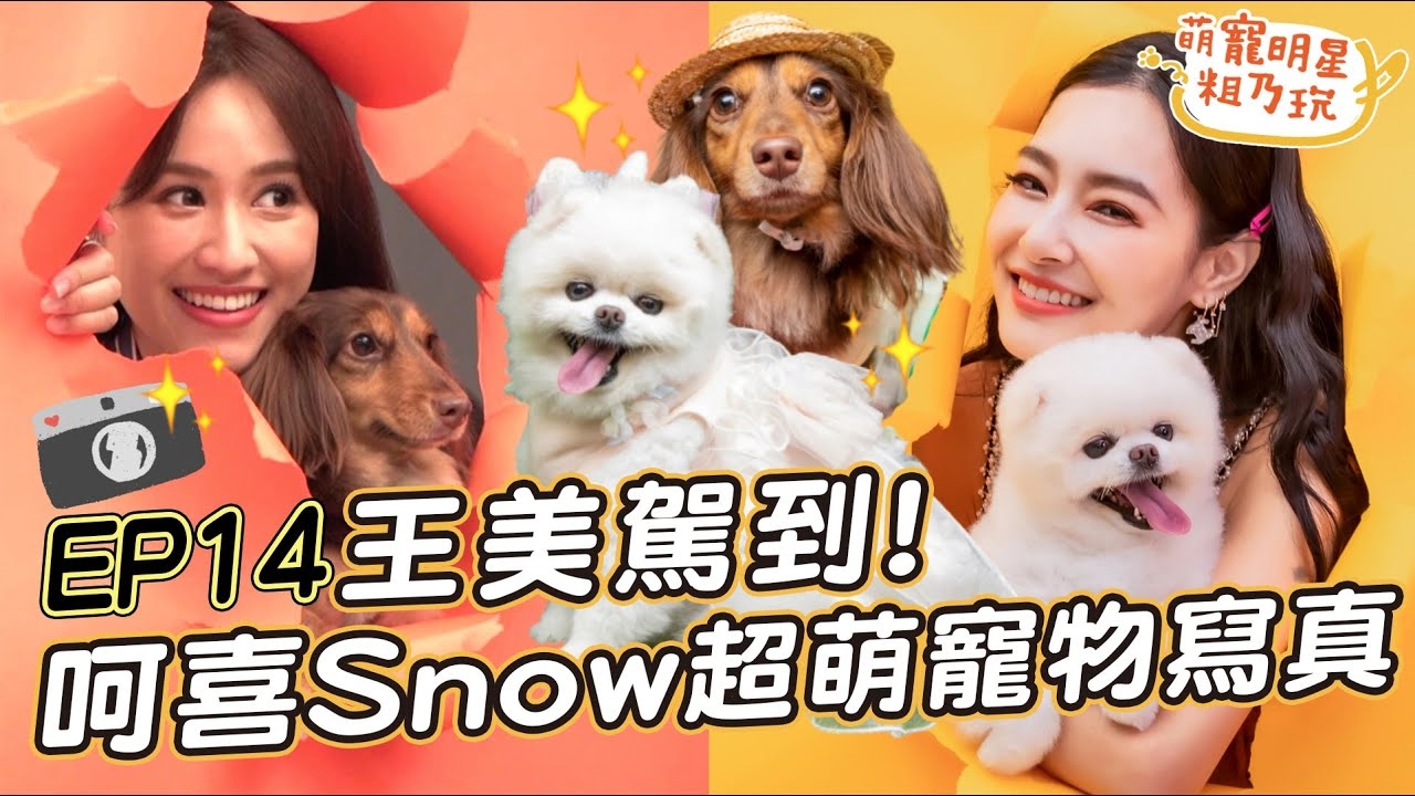 王美駕到!呵喜 Snow 超萌寵物寫真開拍啦! 王思佳 Sandy 爆破效果初體驗!