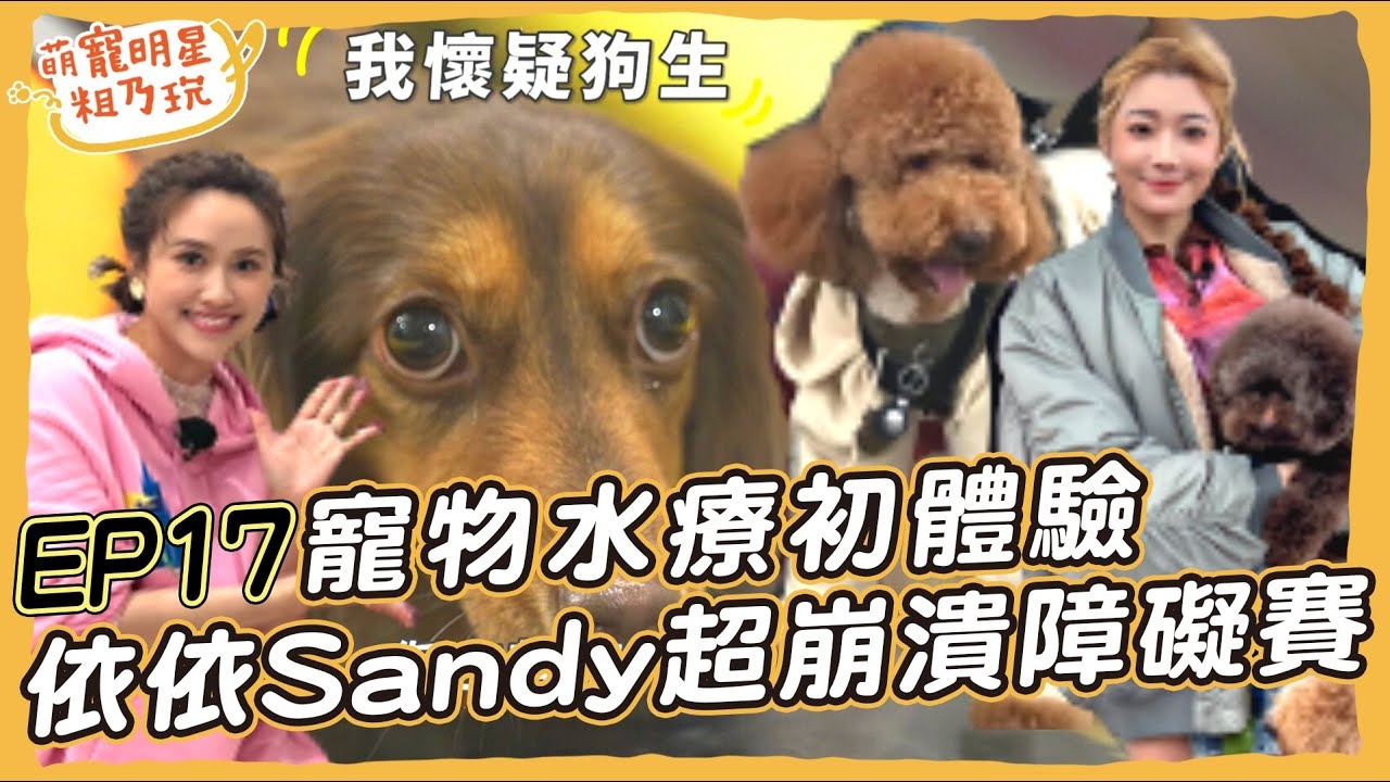 狗狗障礙賽超崩潰 依依 Sandy 被放電! 寵物水療初體驗 呵喜懷疑狗生?