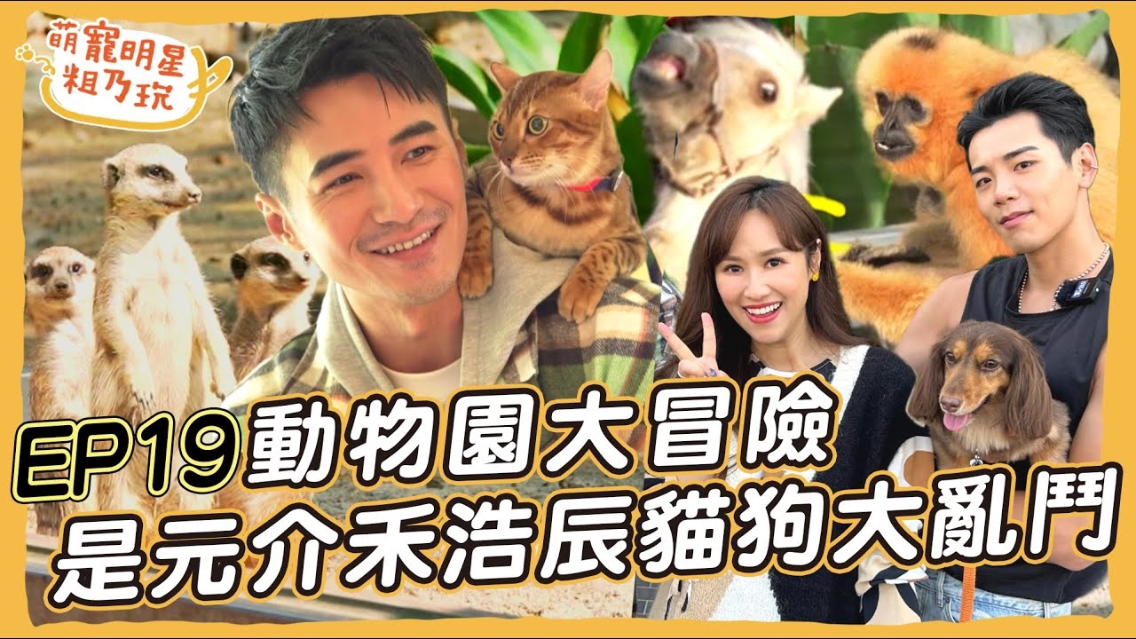 是元介 禾浩辰 Sandy 開心農場崩潰挑戰! 豹貓 英國鬥牛犬 長毛臘腸 高雄大亂鬥