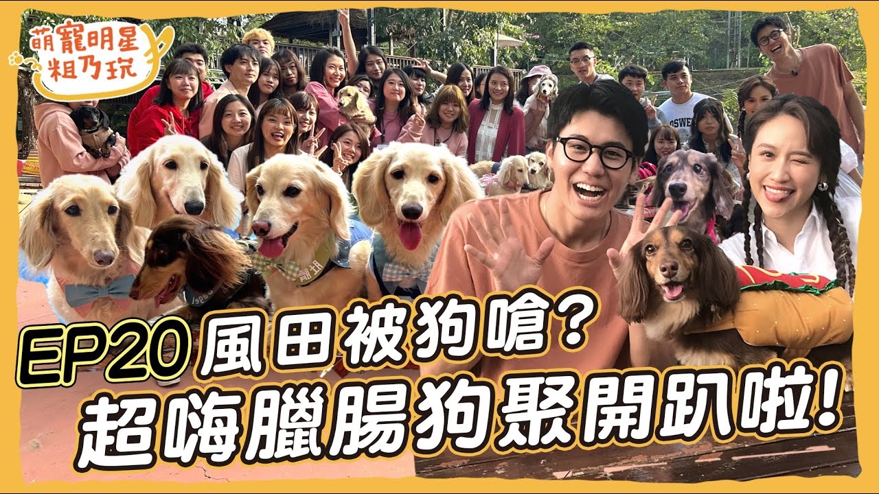 臘腸狗聚 開趴啦! Sandy 風田 呵喜 與23位狗朋友的超嗨同樂會
