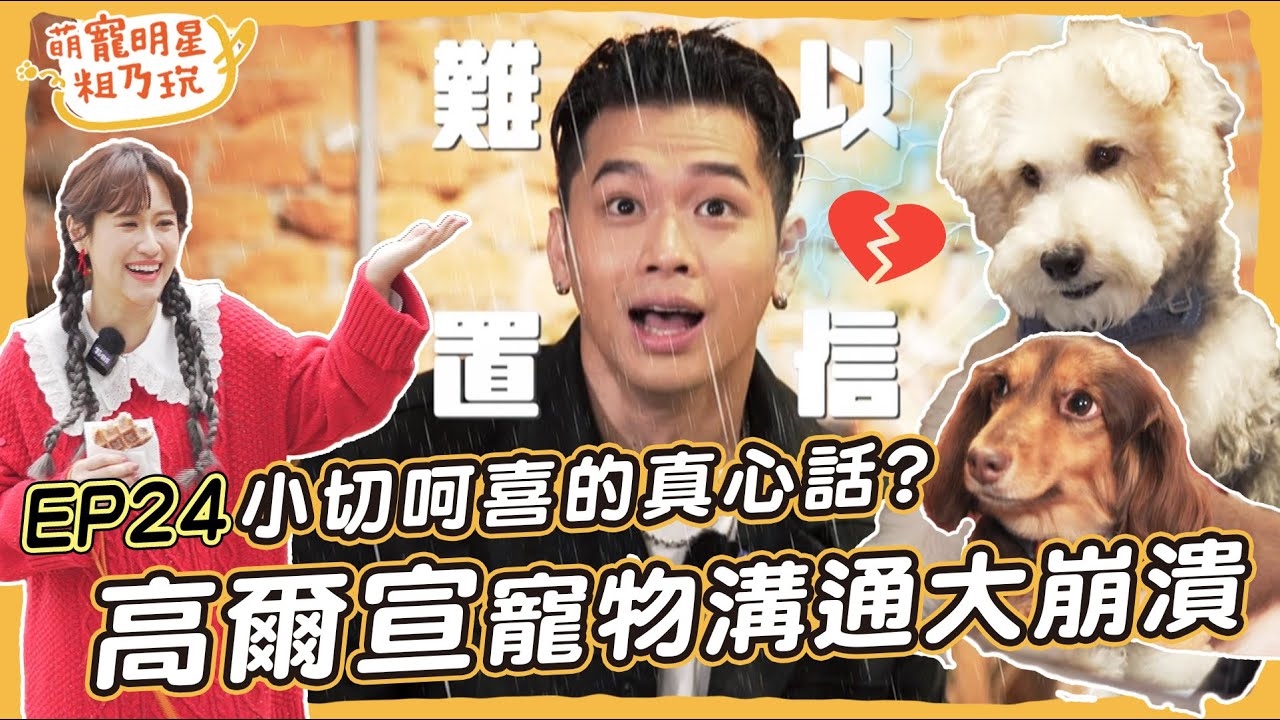 高爾宣OSN 剛毛小切粗乃玩! 寵物溝通曝真相 主人們大崩潰! 呵喜小迷妹上線啦
