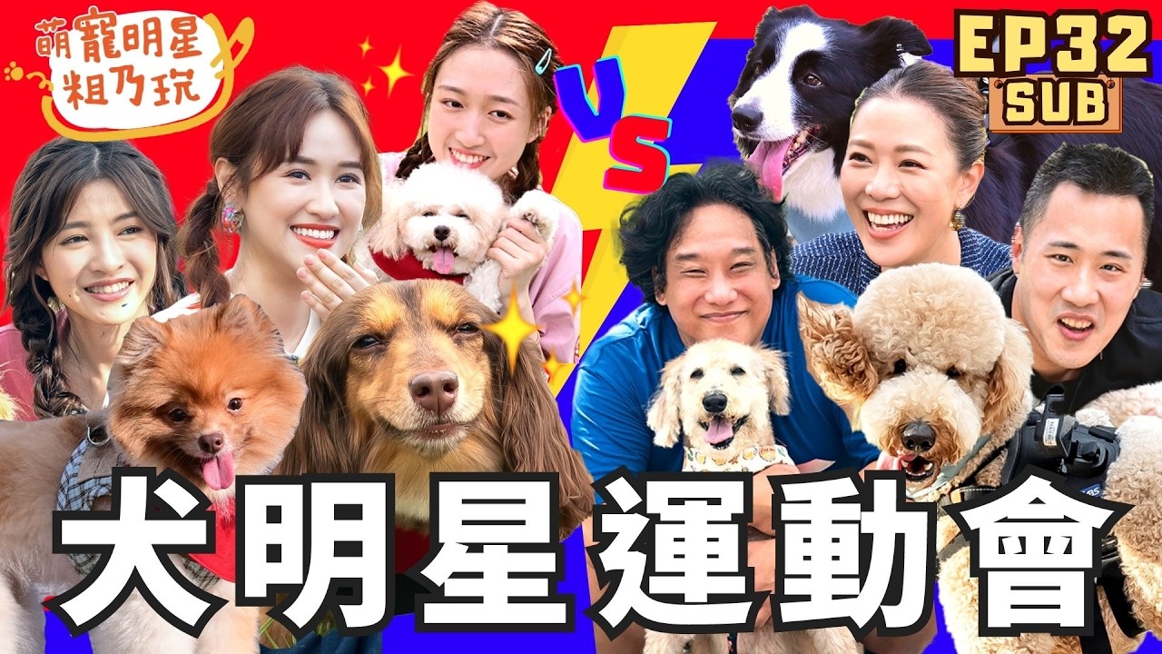 第2屆 犬明星運動會 呵喜奇蹟逆轉勝? 星二代集體崩潰!