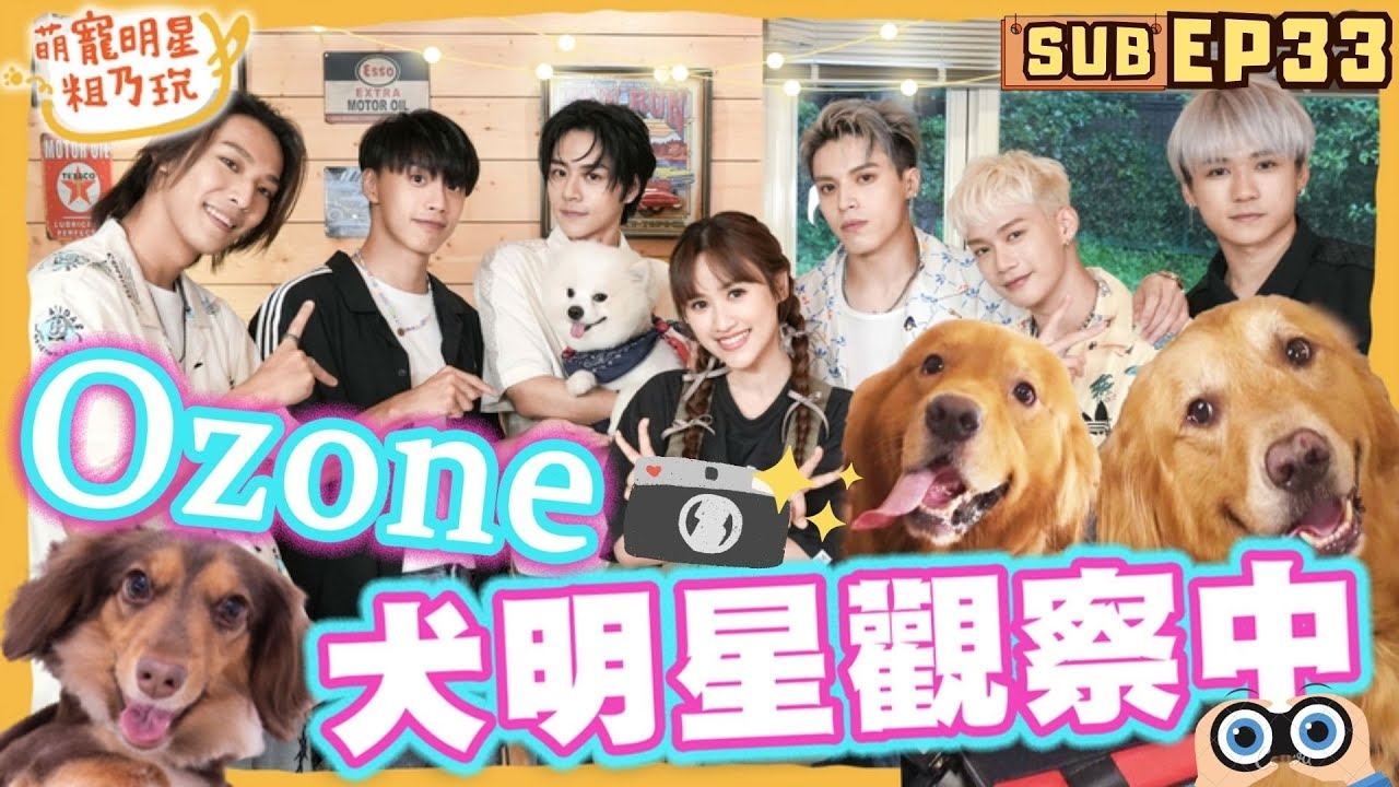 Ozone粗乃玩!犬明星觀察中 狗狗忠誠度大考驗! 呵喜投奔帥哥 Sandy喊絕交