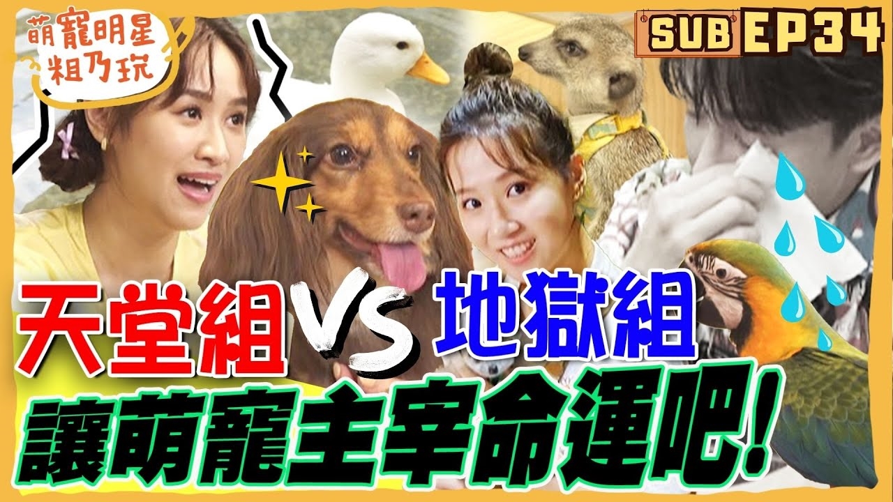 天堂還是地獄?讓寵物決定你的一天!Sandy 鄭元暢 方志友 誰是地獄倒楣鬼?