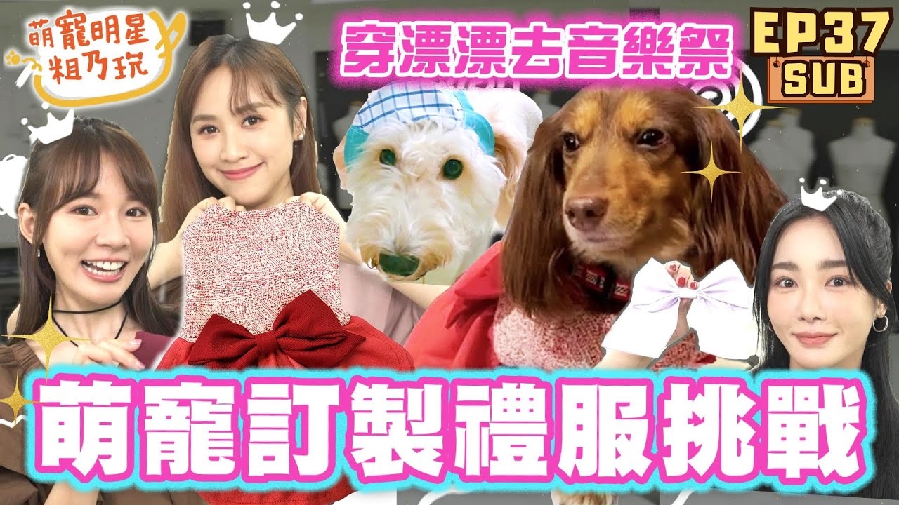 挑戰萌寵時尚高訂禮服! Sandy 舒子晨 林莎 辣妹過招 老師再度被逼瘋? 河海音樂祭我們來啦