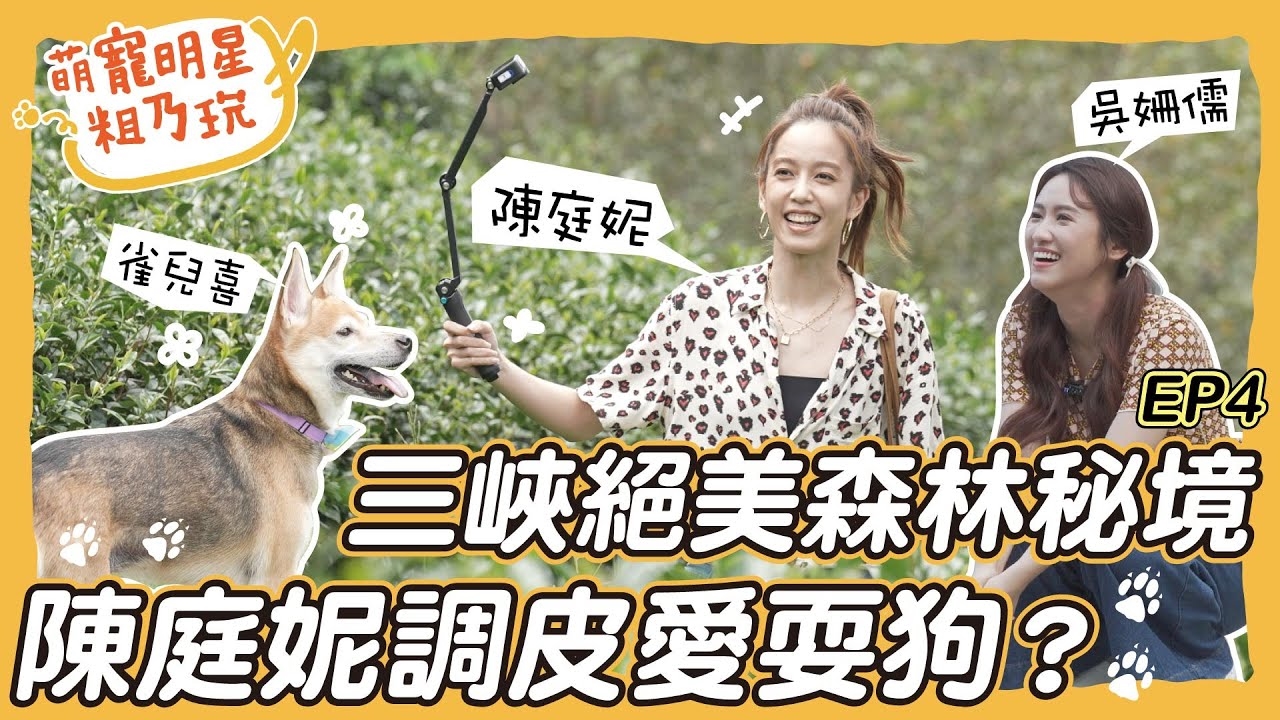 雙喜臨門 陳庭妮 Sandy 三峽祕境之旅! 呵喜 Chelsea 茶園樹林探險去!發現隱藏老宅鍋烤