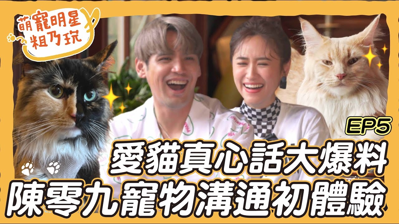 超萌貓咪們粗乃玩啦! 陳零九 Sandy 寵物溝通初體驗 橘丸哸哸爆料五堅情秘辛! 呵喜真正愛的是貓