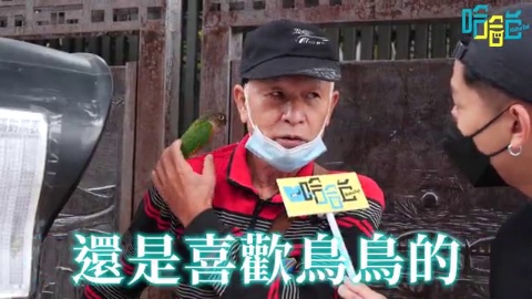 上班時間的「三峽區」閒人。北大變成特區公園?金牛角的歷史?天龍國與鄉下並存的區?