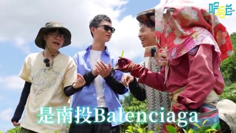 南投在地體驗 草屯囝仔帶視網膜跳官將首?無眼鏡模樣曝光?賽德克族李芷婷回鄉之旅!深山採茶採馬告!