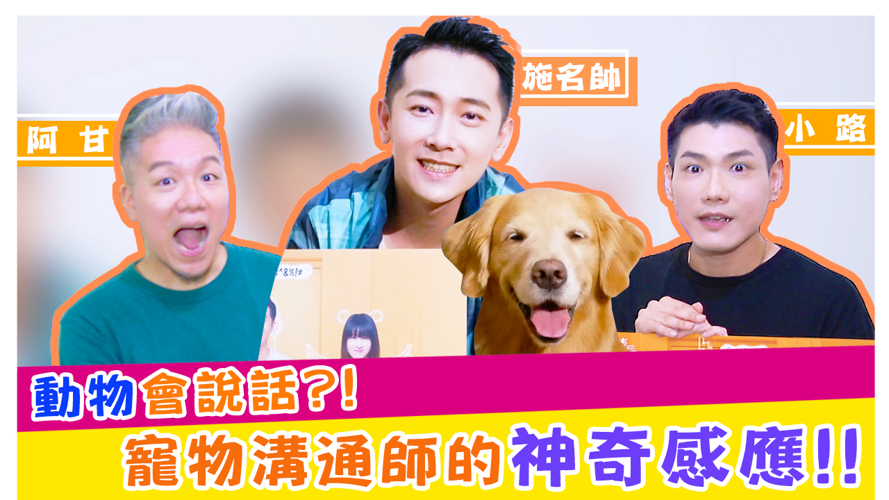 動物會說話!!寵物溝通師施名帥的神奇感應!!