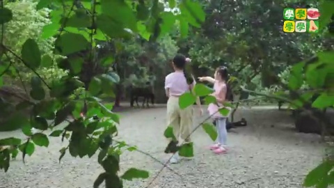 第7集