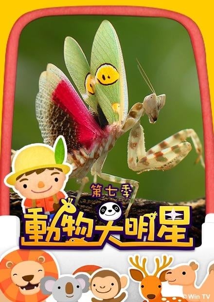 動物大明星 S7